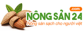 Hạt điều cao cấp