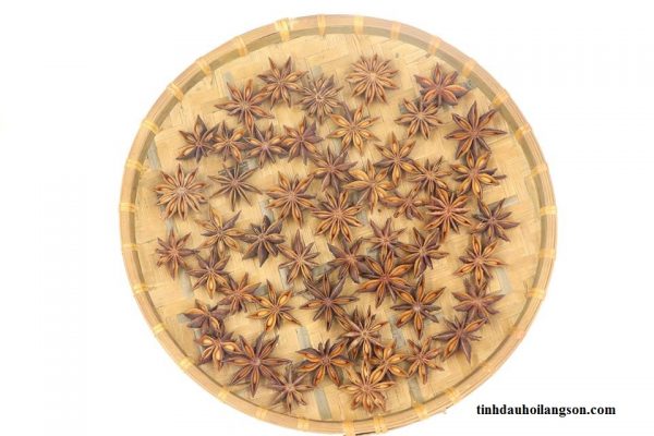 nguoi-dan-da-coi-hoa-hoi-la-1-phan-cuoc-song-600x400